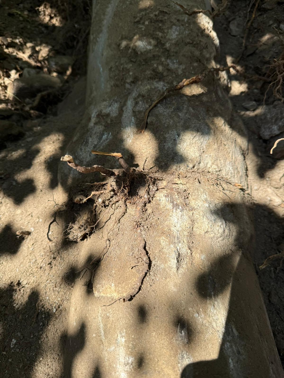 chantier-degat-des-eaux-suisse-valais